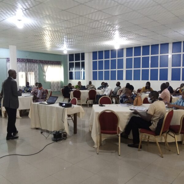 Formations des agents des ATDA sur la démarche, techniques et outils d'élaboration d'un plan de renforcement de capacités dans le cadre du projet ARISA_